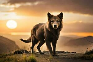 uma cachorro é em pé em uma Colina às pôr do sol. gerado por IA foto