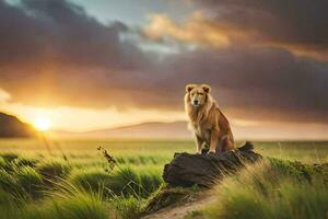 a leão é uma majestoso animal este é frequentemente visto dentro a selvagem. gerado por IA foto