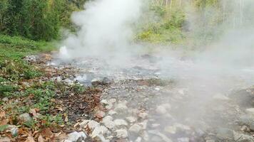 pong dueto quente Primavera lagoa dentro Huai nam droga nacional parque, Chiang maio, tailândia. foto