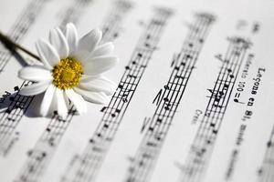 folhas de flores, margaridas e notas musicais foto