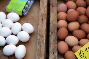 alimentos proteína orgânica frango ovos crus foto