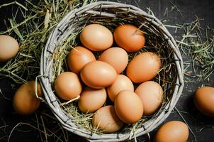 fresco frango ovos dentro cesta. foto