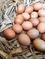 alimentos proteína orgânica frango ovos crus foto