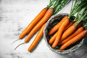 fresco cenouras dentro cesta. foto
