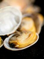 uma pilha do fresco vongole em a mesa. foto