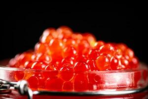 grãos do vermelho caviar em uma Preto fundo. foto