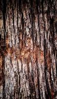textura abstrata do fundo de madeira do grunge foto
