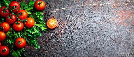 fresco tomates em uma ramo com salsinha. foto