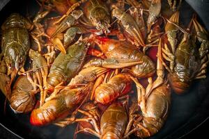 uma grupo do fresco lagostim dentro uma panela. foto