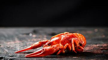 1 vermelho fervido lagostim em a mesa. foto