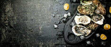 fresco ostras em uma corte borda. foto