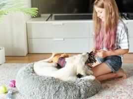 pequeno menina jogando com uma dourado retriever cachorro às lar. foto