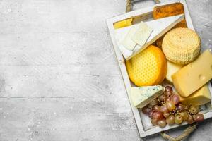 diferente tipos do queijo com uvas em uma branco de madeira bandeja. foto