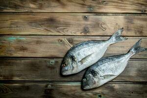 cru mar peixe dourado. foto