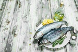 cru peixe salmão com ervas e limão. foto