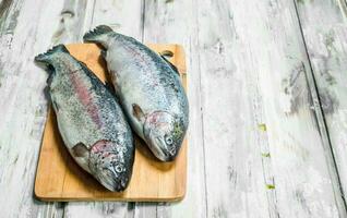 cru peixe salmão em uma corte borda. foto