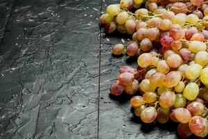 branco maduro uva. foto