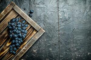 Preto uvas em uma de madeira bandeja. foto