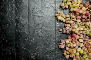 branco maduro uva. foto
