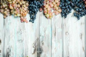 Preto e branco uvas. foto