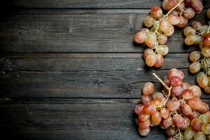 galhos do Rosa uvas. foto