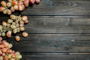 galhos do Rosa uvas. foto