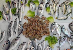 Poleiro cupra dourada e camarão peixe cru comida no gelo foto