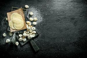 cru bolinho de massa. preparação dumplings com carne bovina. foto