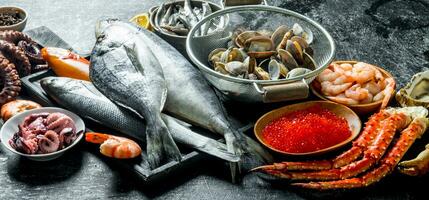 fresco peixe com caviar, camarão e ostras. foto