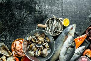 peixe em uma corte borda com ostras e camarão. foto