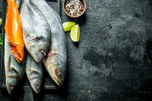 recentemente apanhado peixe. foto