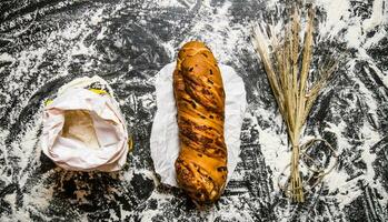 conjunto com ciabatta, farinha e orelhas do trigo. foto