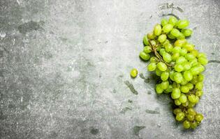 cacho de uvas verdes. foto