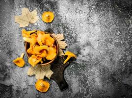 fresco chanterelle cogumelos dentro uma tigela. foto