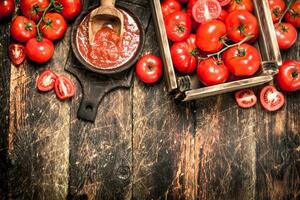 tomate molho dentro uma tigela. foto