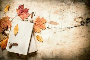 velho livros e outono folhas. foto