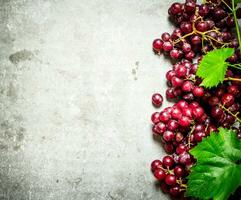 fresco vermelho uvas. foto