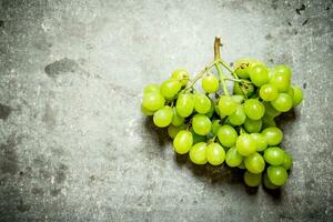 ramo do branco uvas. foto