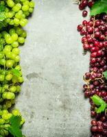 branco e vermelho uvas com folhas. foto