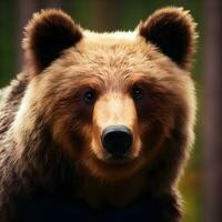 sazonal espectro, uma majestoso Urso evoluindo através da natureza paleta. ai gerado foto