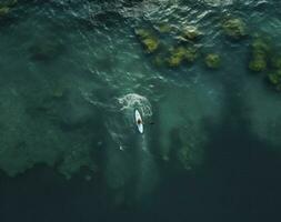 surfista às a topo do a onda dentro a oceano, topo Visão foto