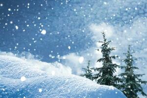 paisagem. floresta de inverno congelada com árvores cobertas de neve. foto