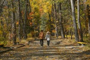 casal caminhando dentro a outono floresta. outono andar dentro a parque foto
