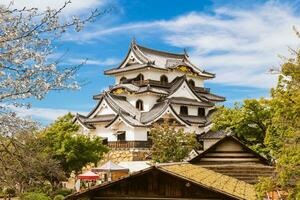 tenshu do Hikone castelo localizado dentro Hikone cidade, Shiga, Japão foto