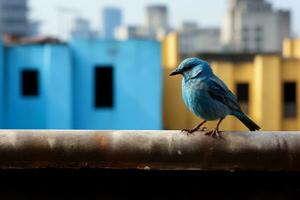 uma azul pássaro sentado em uma borda generativo ai foto
