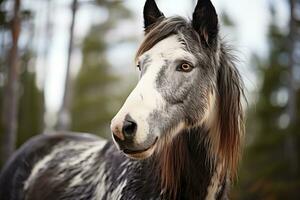 uma fechar acima do uma cavalo dentro a madeiras generativo ai foto