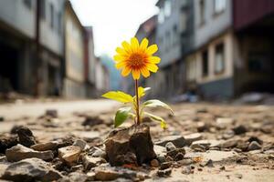 uma amarelo girassol crescendo Fora do a terra dentro a meio do uma cidade rua generativo ai foto