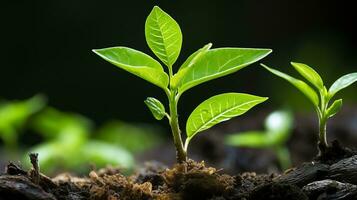 uma fechar acima do dois jovem plantas crescendo Fora do a terra generativo ai foto