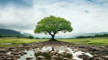 uma solitário árvore dentro uma campo cercado de pedras e água generativo ai foto