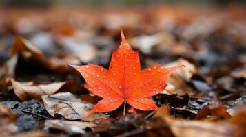 uma vermelho bordo folha senta em a terra cercado de folhas generativo ai foto